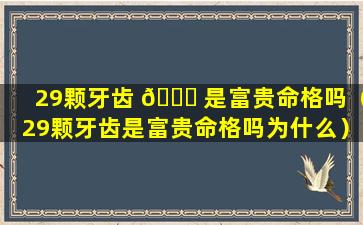 29颗牙齿 🐝 是富贵命格吗（29颗牙齿是富贵命格吗为什么）